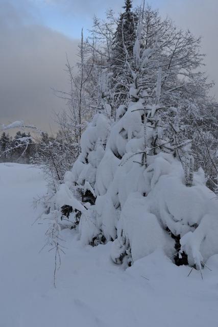 neige 2015 035 (Small)