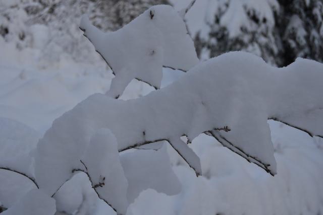 neige 2015 042 (Small)